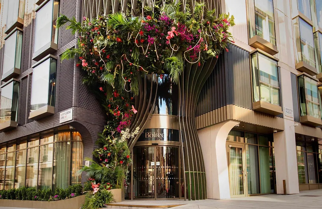 The Botree London, Curio Collection By Hilton-1